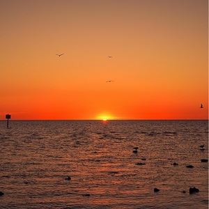 Orange Red Sunset